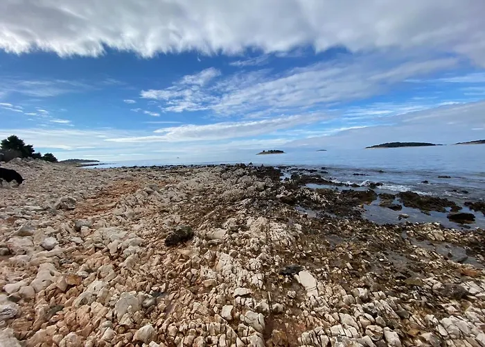 Oaza * Rogoznica (Sibenik-Knin)